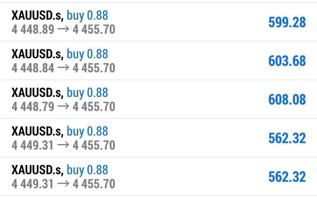 Chiara Bianchi tweet media