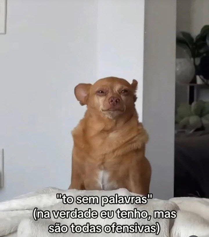 Pagina lixo (@paginalixo1) on Twitter photo 