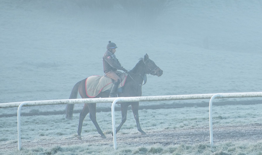 olivercoleracing tweet media