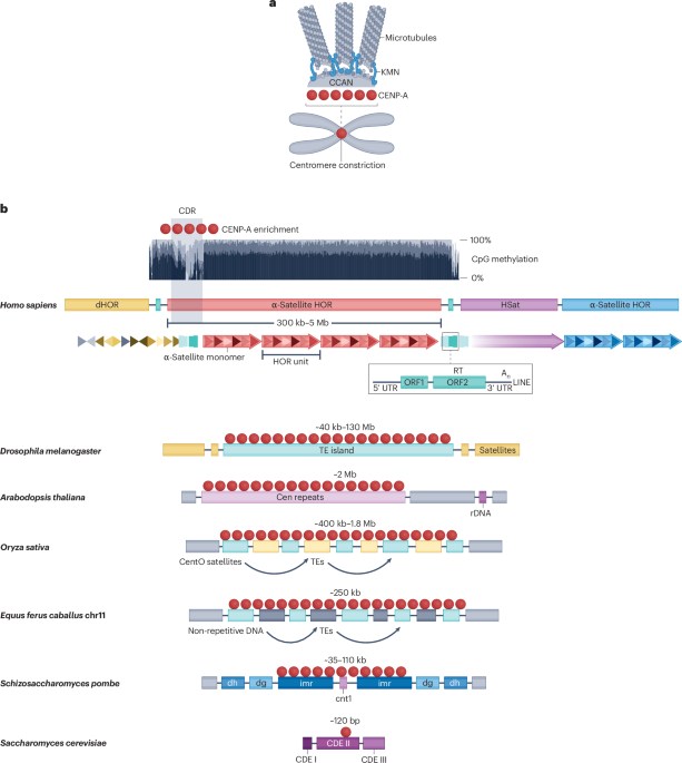 Nature Reviews Genetics tweet media