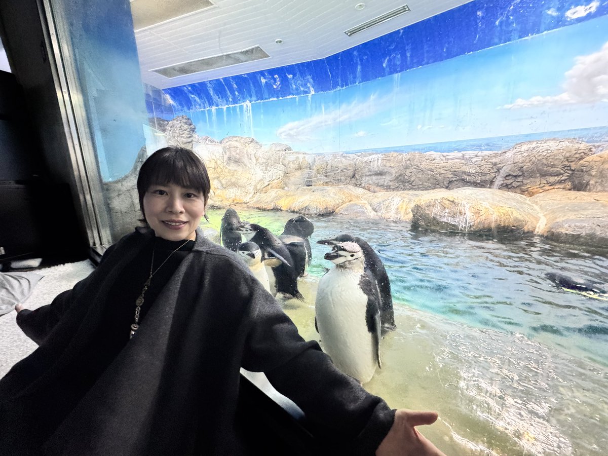 ⑲もっちー.。◦♡‬ ハッピーカラーシリーズ、アイドルモンチッチが発売決定