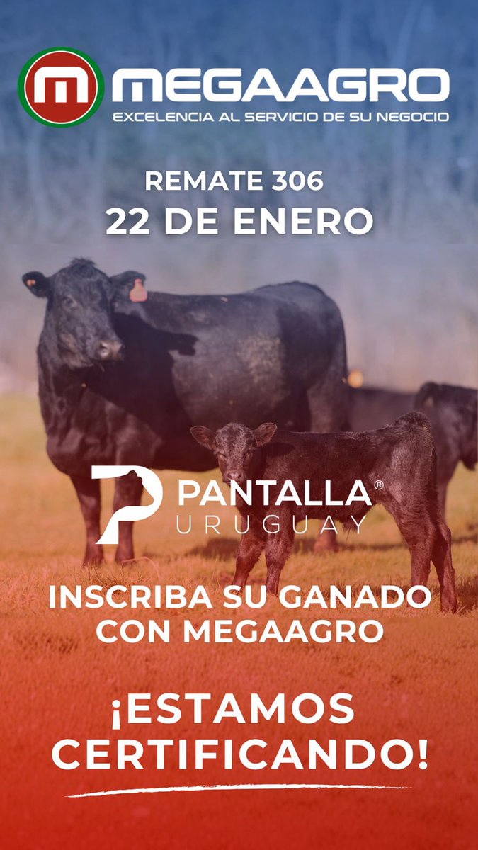 Megaagro (@megaagrouy) on Twitter photo 