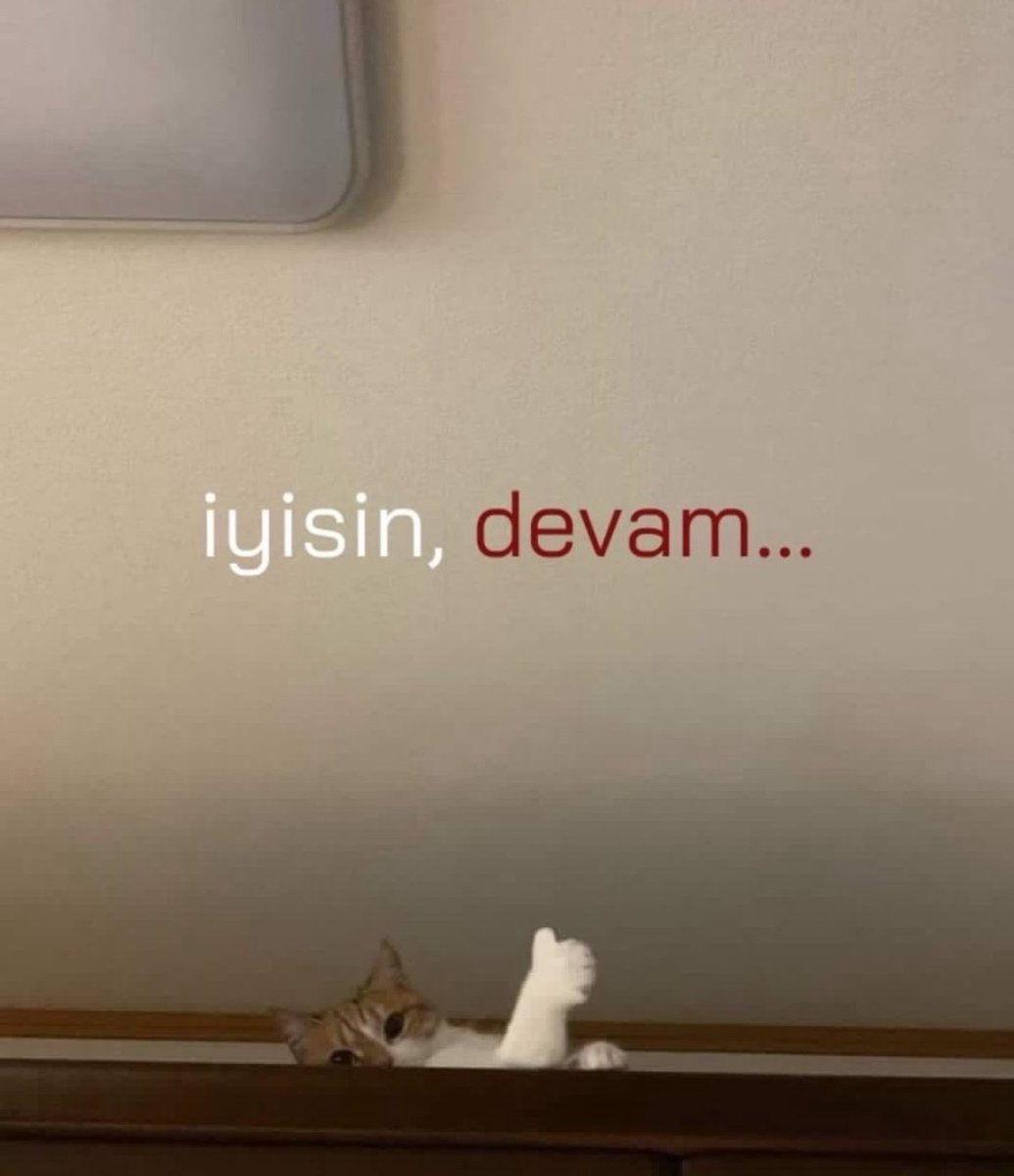 hayrixxx's tweet image. 