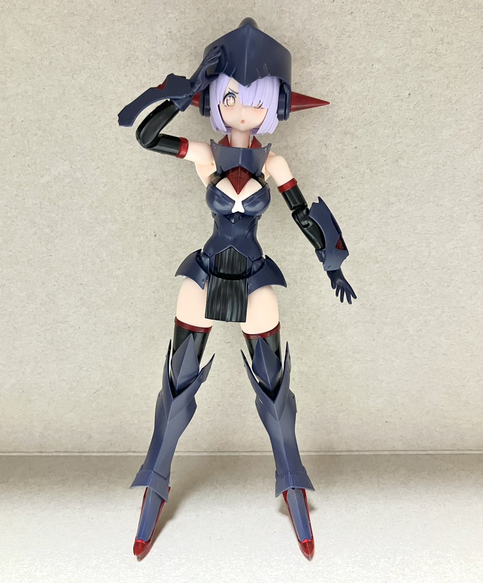 めこ隊長(*^^*) (@mekoNOie) / Posts / X