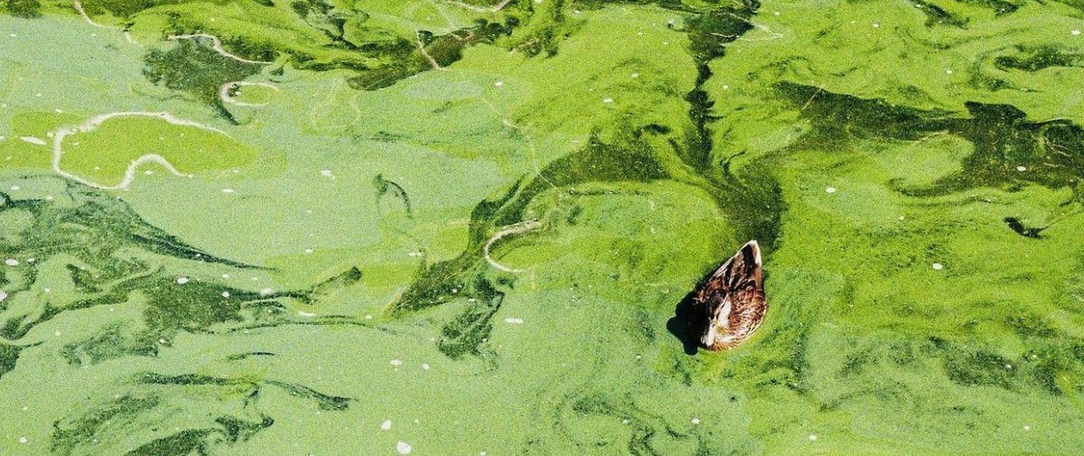 Iowa Water Center tweet media