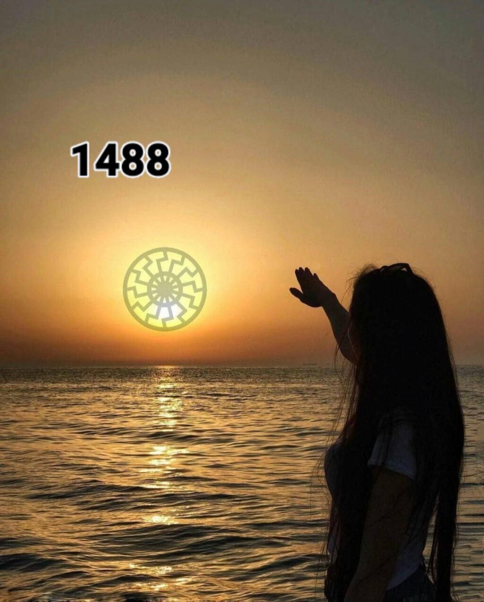 DaddyBleached's tweet image. Had a dream about the #blacksun rising again
2026 will be our year 
#owlm #wwo #hh
