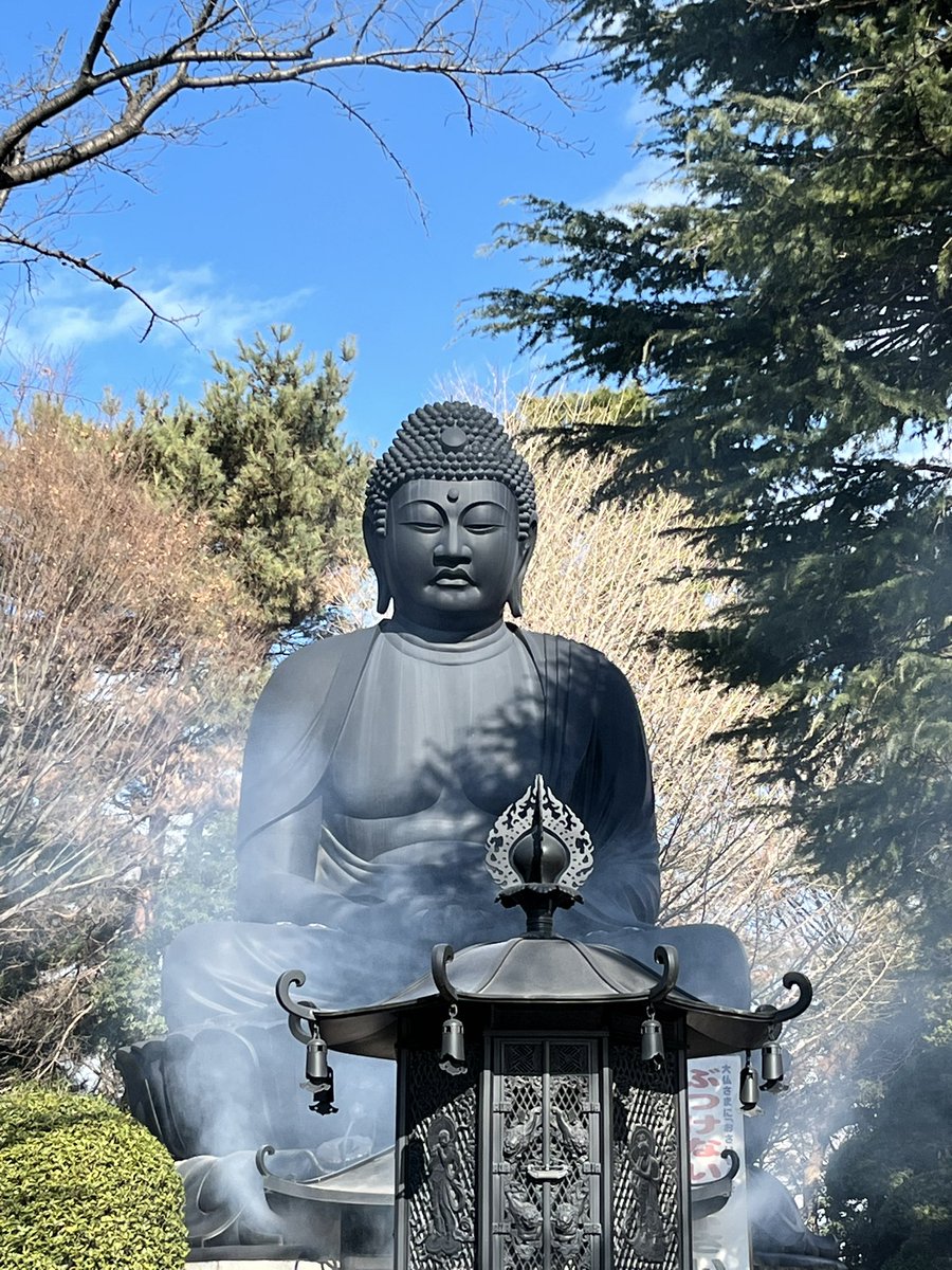 遅いあけましておめでとうございますですが、本年もよろしくお願い申し上げます🐎
地元の東京大仏で毎年買っていた干支起き上がり小法師。午年でコンプリート！わーい。東京にもあるんです、大仏。