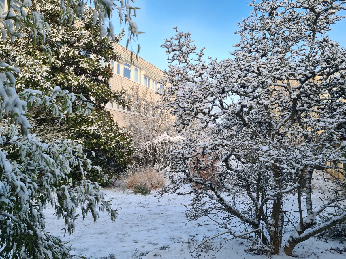 Le #chep78 sous la neige 😮❄⛄❄

Beau et froid à la fois ! 😍

#ecoledusavoirvert #neige #lycee #lyceeprofessionnel  #education #formation #etudes #environnement #foret #cfa #alternance #apprentissage #paysagiste #laventureduvivant #enseignementagricole #agricole