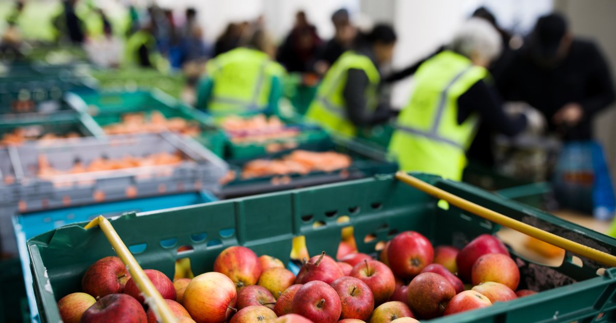 Better Barnet tweet media