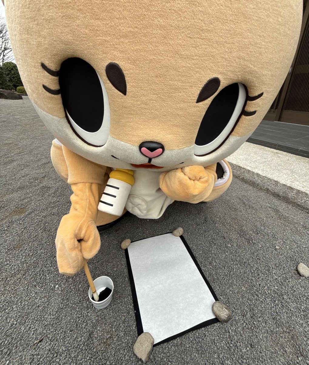 カメちゃん🐢 (@kamechan7407) / Posts / X