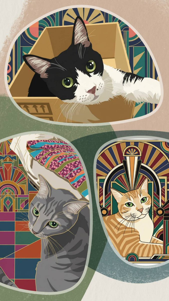 Post by にゃんこ母ちゃん on X: 遊んでみた🤗