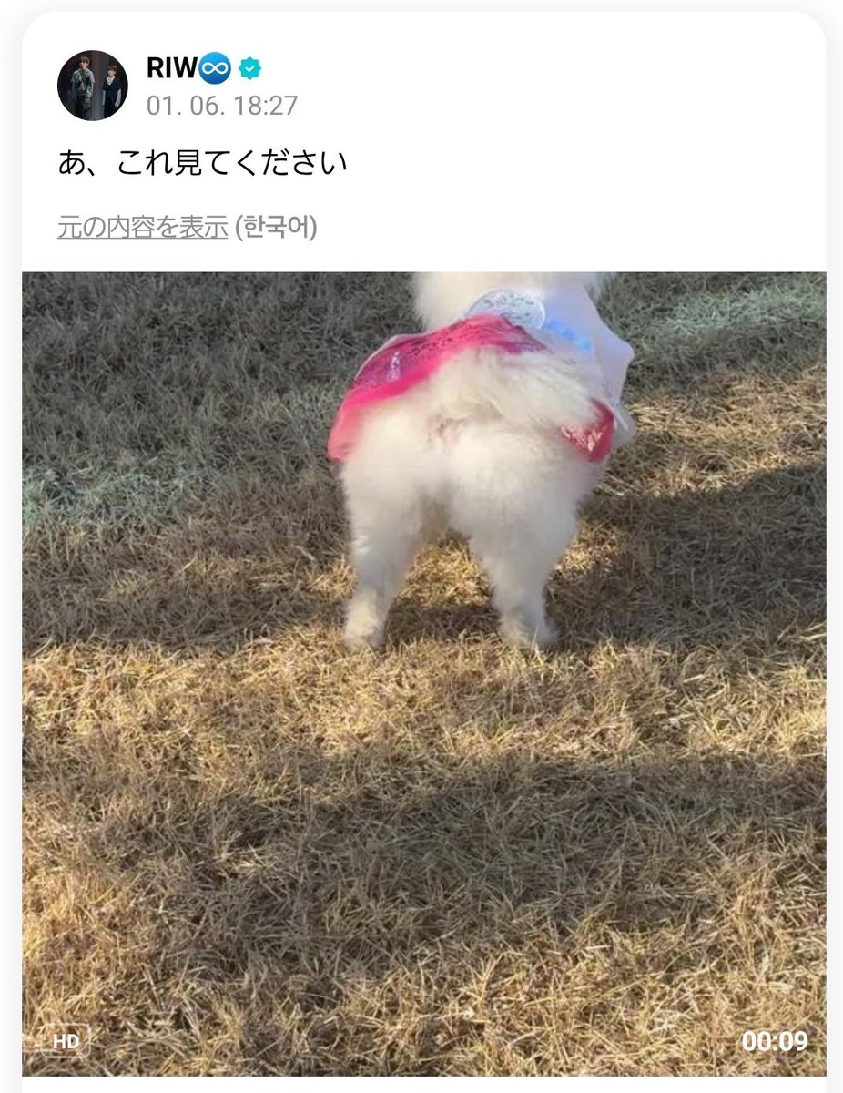 Ayako♡ページ チャンイww 動画スタートの姿かわいすぎる