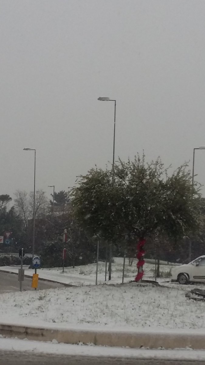 MeteoIng | Bologna, image size:675x1200