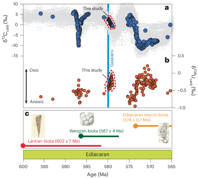 Article: Periodic marine oxygen oscillations occurred through the middle Ediacaran Gaskiers Glaciation, likely stemming from increased organic carbon burial destabilizing ocean redox systems

nature.com/articles/s4156…