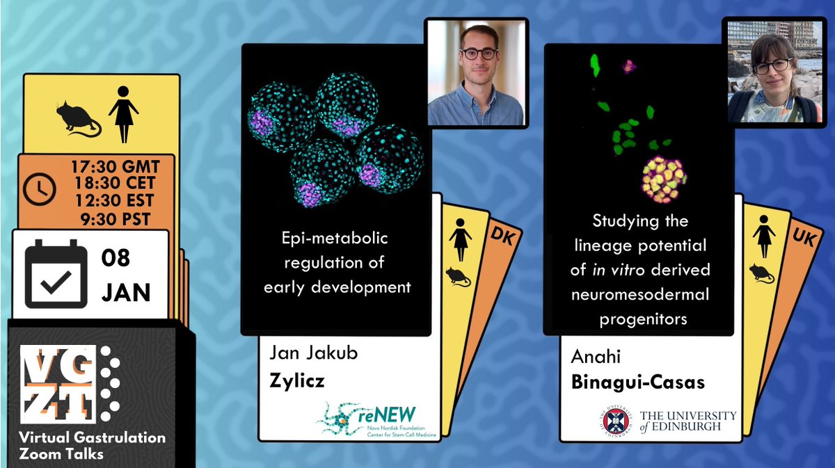 Virtual Gastrulation Zoom Talks tweet media