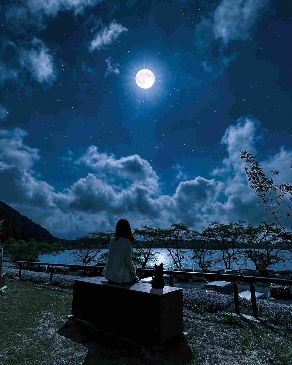 bartvpy's tweet image. めっちゃ放置してたBNBがまじで上がってる！11.57%も上昇って、うそでしょ？信じられない！やっぱり放置しておくもんだね😊