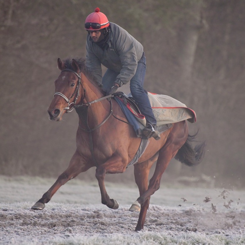 olivercoleracing tweet media