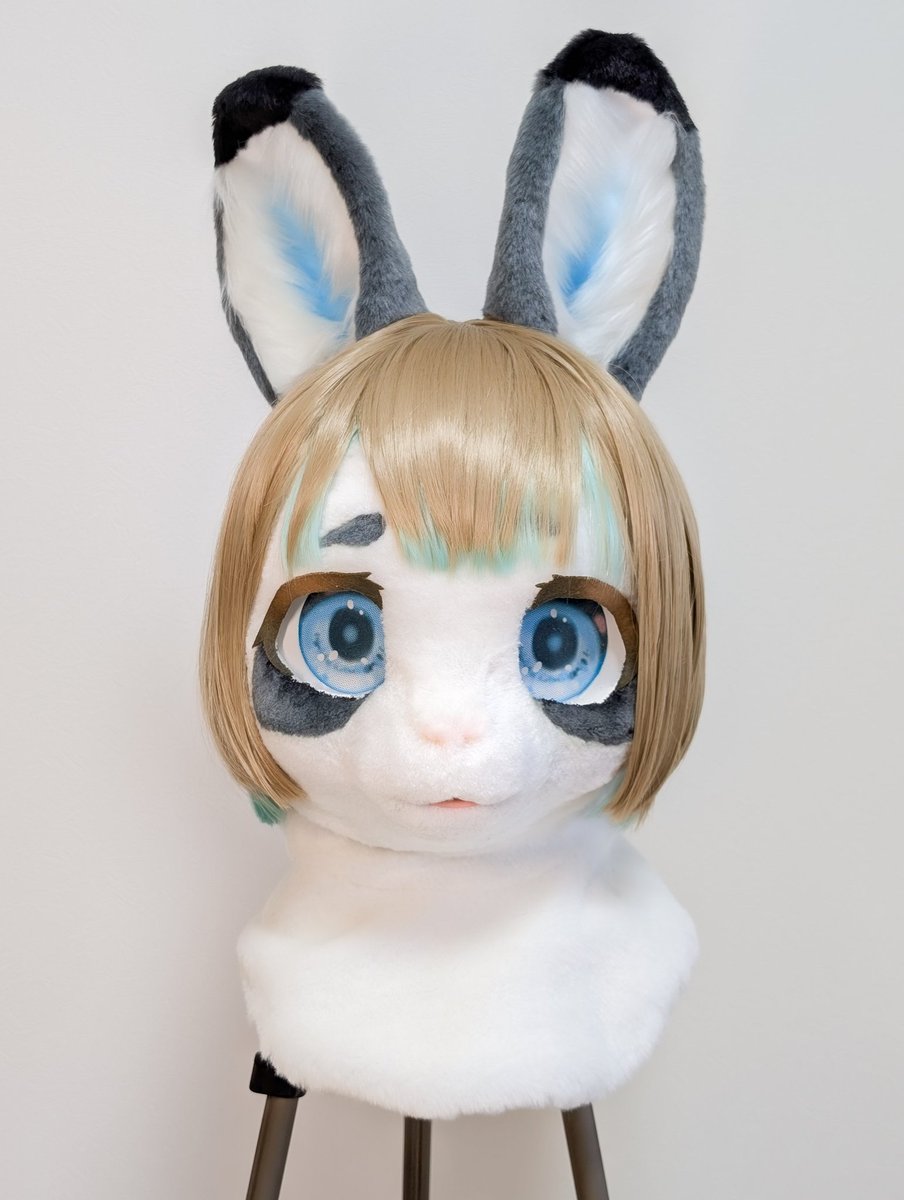 ラクたろ (@dream_raccoon) / Posts / X