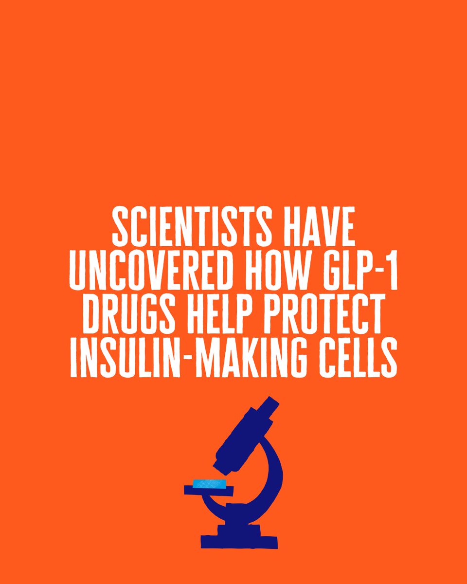 Orange tile says: Scientists have uncovered how GLP-1 drugs help protect insulin-making cells