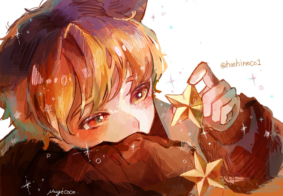 こっこ tweet media