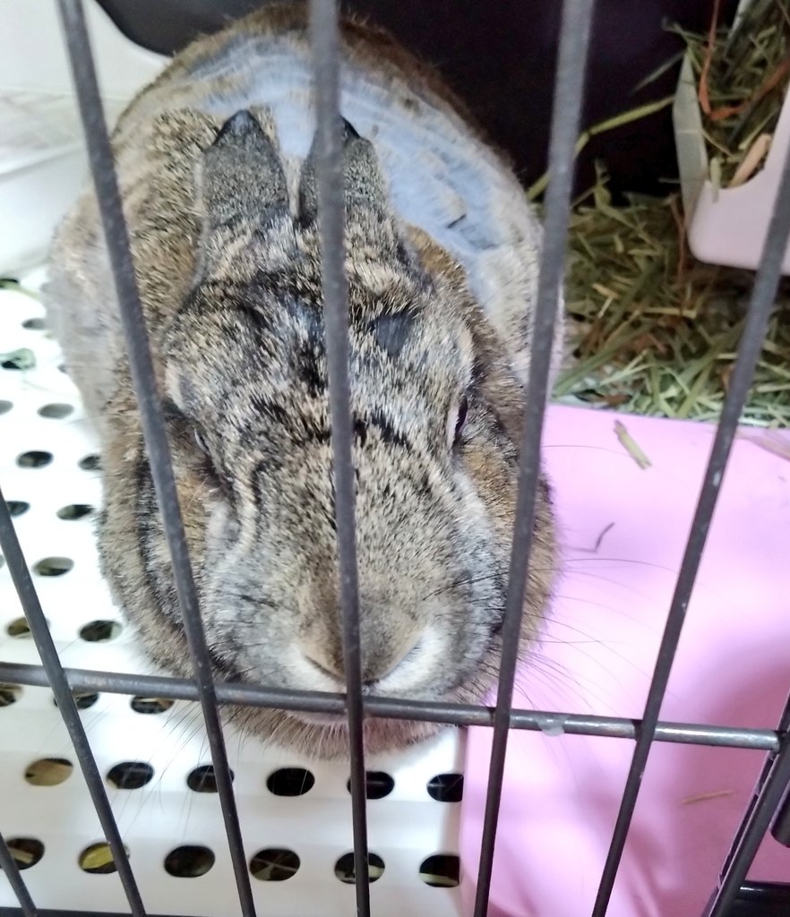 なつ (@nattsunnnn) / Posts / X