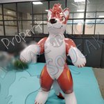 Photo by Dragonov of WetNose Squeak (@Dragonov96)