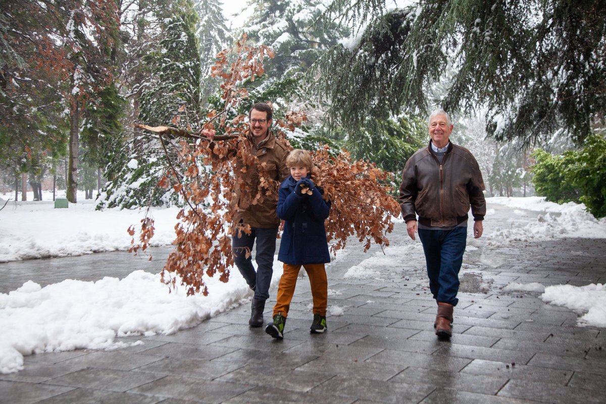 Филип Карађорђевић tweet media