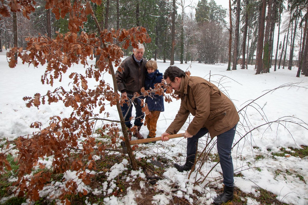 Филип Карађорђевић tweet media