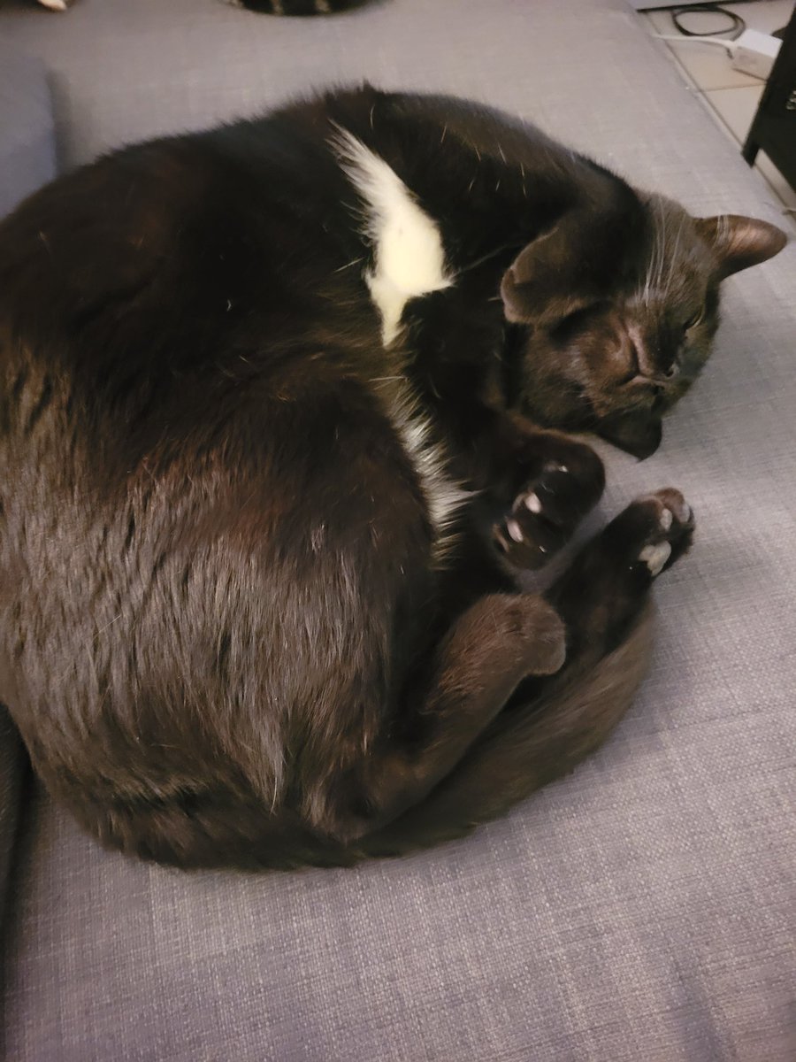 ✒️ Harley_JB2 🫶 tweet media