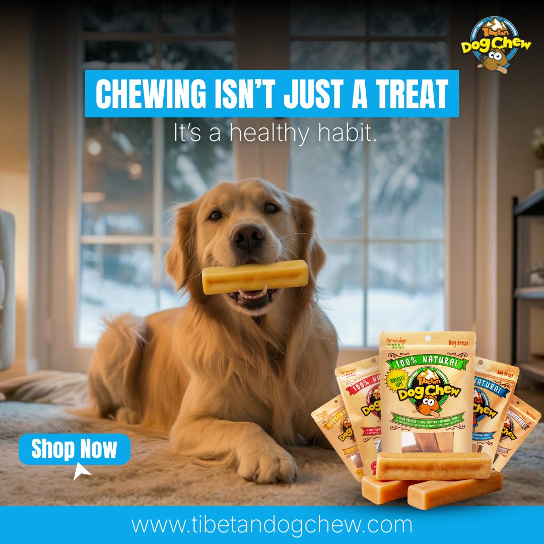 dogchewtibetan's tweet photo. Chewing isnβt just a treat β itβs a healthy habit that keeps your dog happy, calm, and engaged indoors this winter π·π·π·
.
.
.
#DogChew #HealthyChewing #WinterDogCare #HappyDogs #DogLife #DogWellness #NaturalDogTreats #IndoorDogFun #DogBoredomBuster #PetCare #DogParents #Chew https://t.co/e6RhA5ifkp