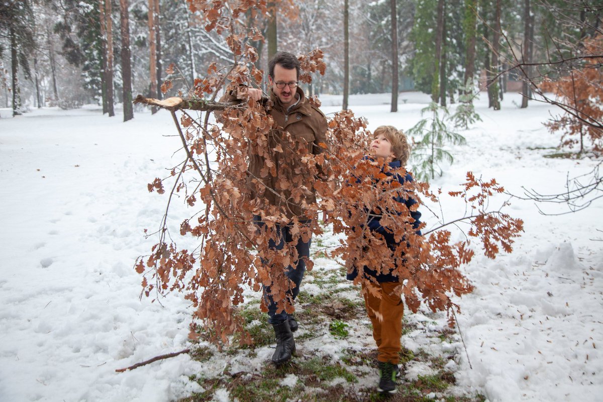 Филип Карађорђевић tweet media