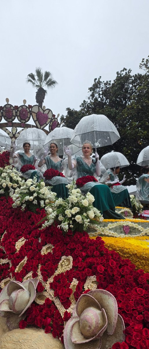 Teverly Lazenby tweet media