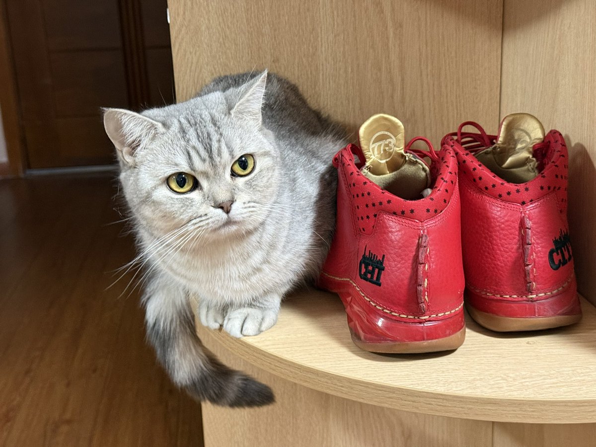 Z2Men's tweet image. 西瓜与红鞋子