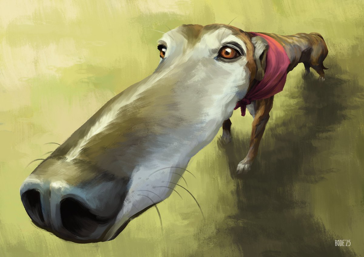 I'm back with another dog portrait! This time a friend of mine hired me to draw their rescued 8 years old greyhound. So here she is! Everyone, meet Pepa ☺️

#illustration #digitalart #portraits  #puppy