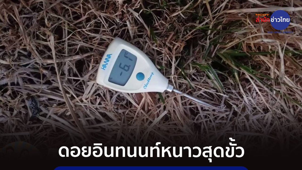 TNAMCOT's tweet image. • หนาวสุดขั้ว! ดอยอินทนนท์ อุณหภูมิยอดหญ้าติดลบ 6.1 องศาฯ
• “สวนหมื่นบุปผาเบตง” สวนไม้ดอกเมืองหนาวหนึ่งเดียวในภาคใต้
• เพาะเลี้ยง-ขยายพันธุ์ “ไก่ป่าลูกผสมไก่แจ้” สร้างรายได้งาม #เรื่องพลบค่ำ tna.mcot.net/tna/th/news/li…
