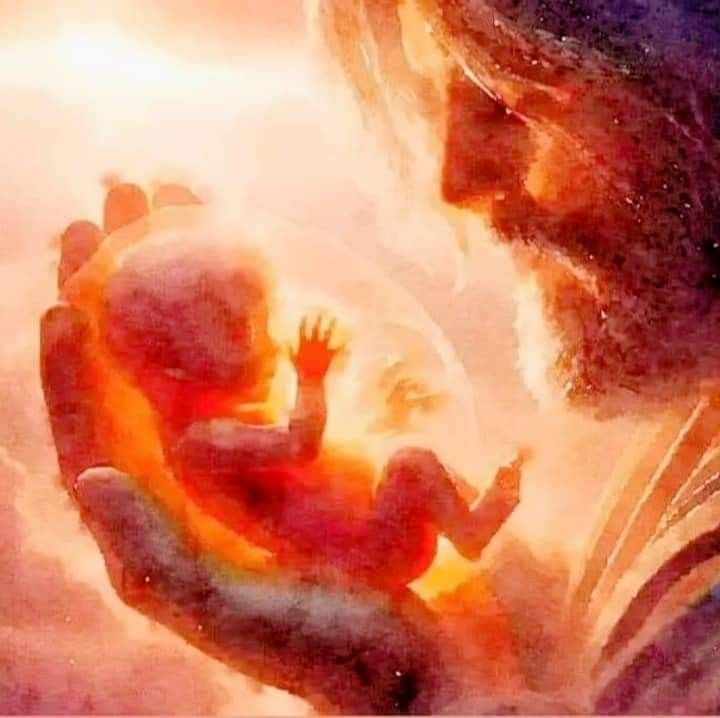 trad_west_'s tweet image. "Before you were formed in the womb, I knew you"   

- Jeremiah 1,5