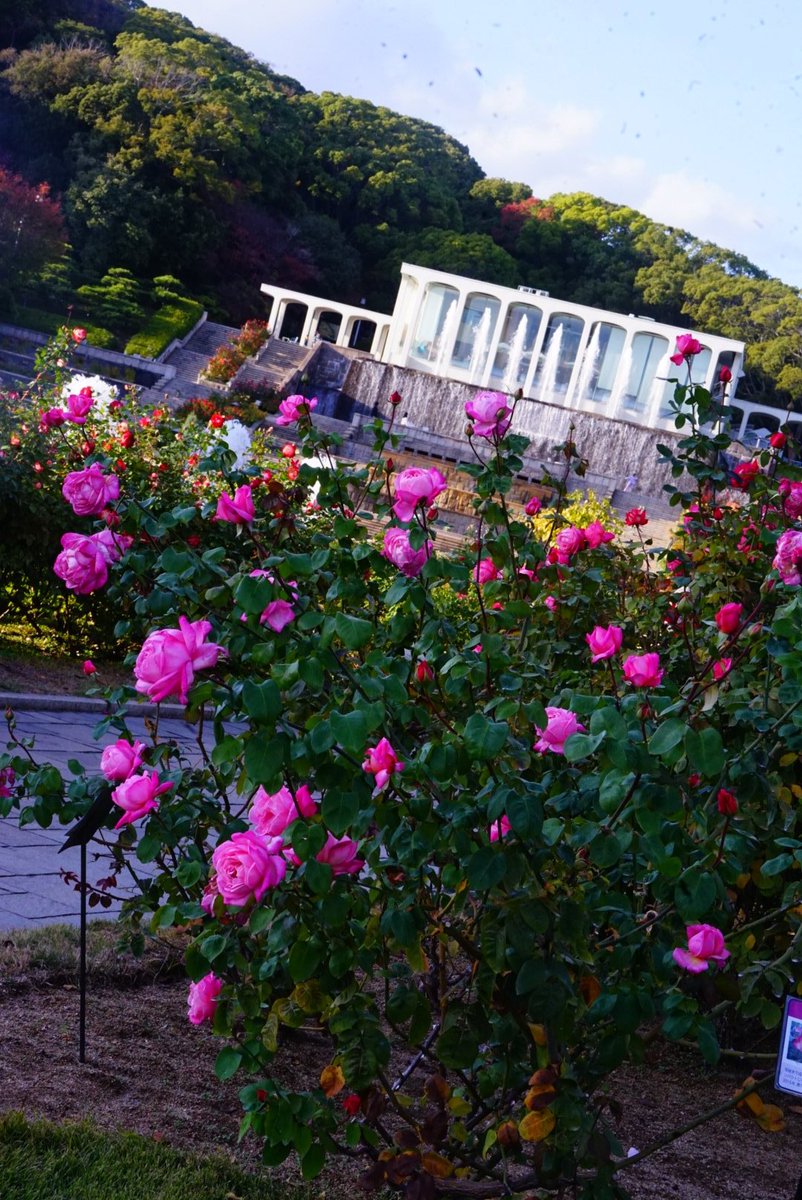 まことページ まこと (@yamakoto01) / Posts / X