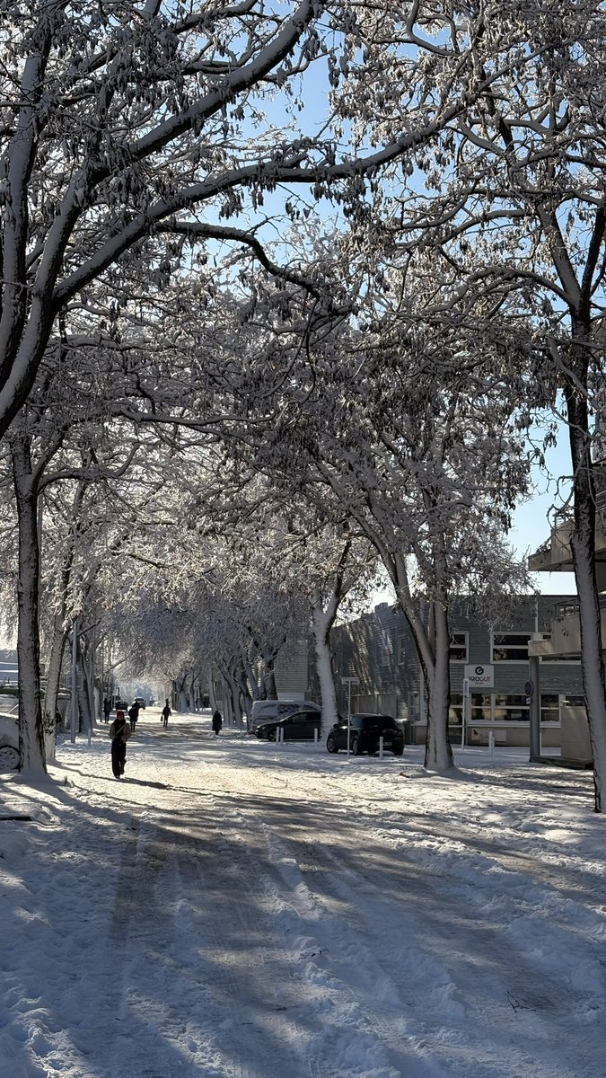 ocanom☀️ (@treqdz) on Twitter photo 