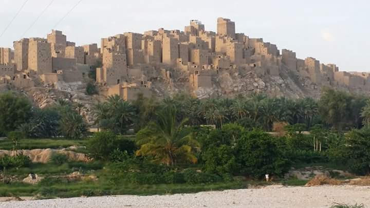 YEMENDNA's tweet image. نتيجة فحص 18 STRs
رقم العينة: 75504 في YSEQ

لـ باحمادي 
من كنينة - حجر - حضرموت 

تحمل السلالة: J1b
مرجحة للفرع: Z2223
#جينات_اليمن🇾🇪