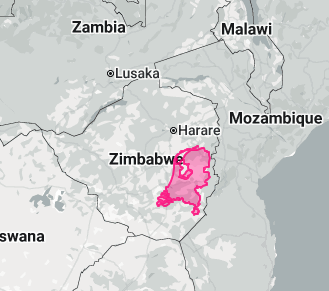 willard shoko tweet media