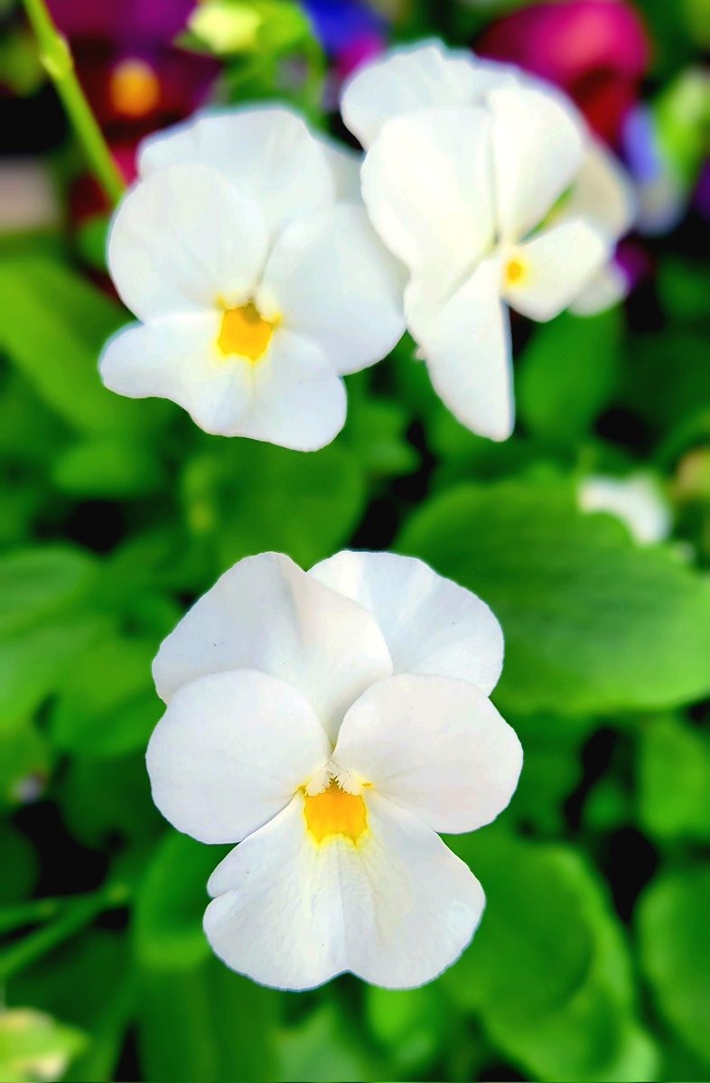 ちゅん (@aebBN6iwx957557) / Posts / X