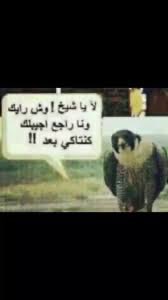 Malak🍊☀️ (@mkiii997) on Twitter photo 