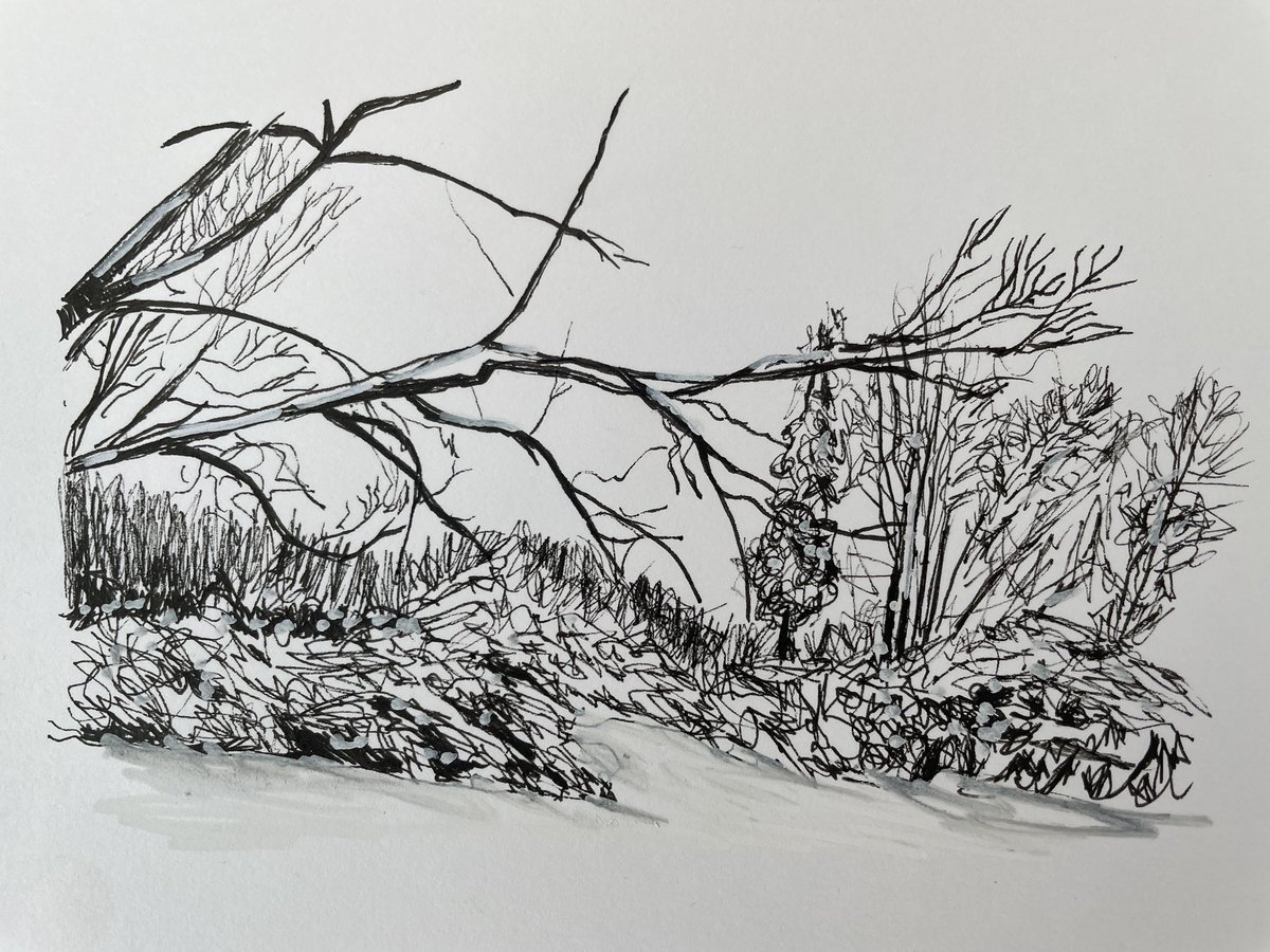 Day 6 #SuesDailySketches 
A little winter scene today, love sketching trees 
#Mindfulness #sketchbook #MHHSBD