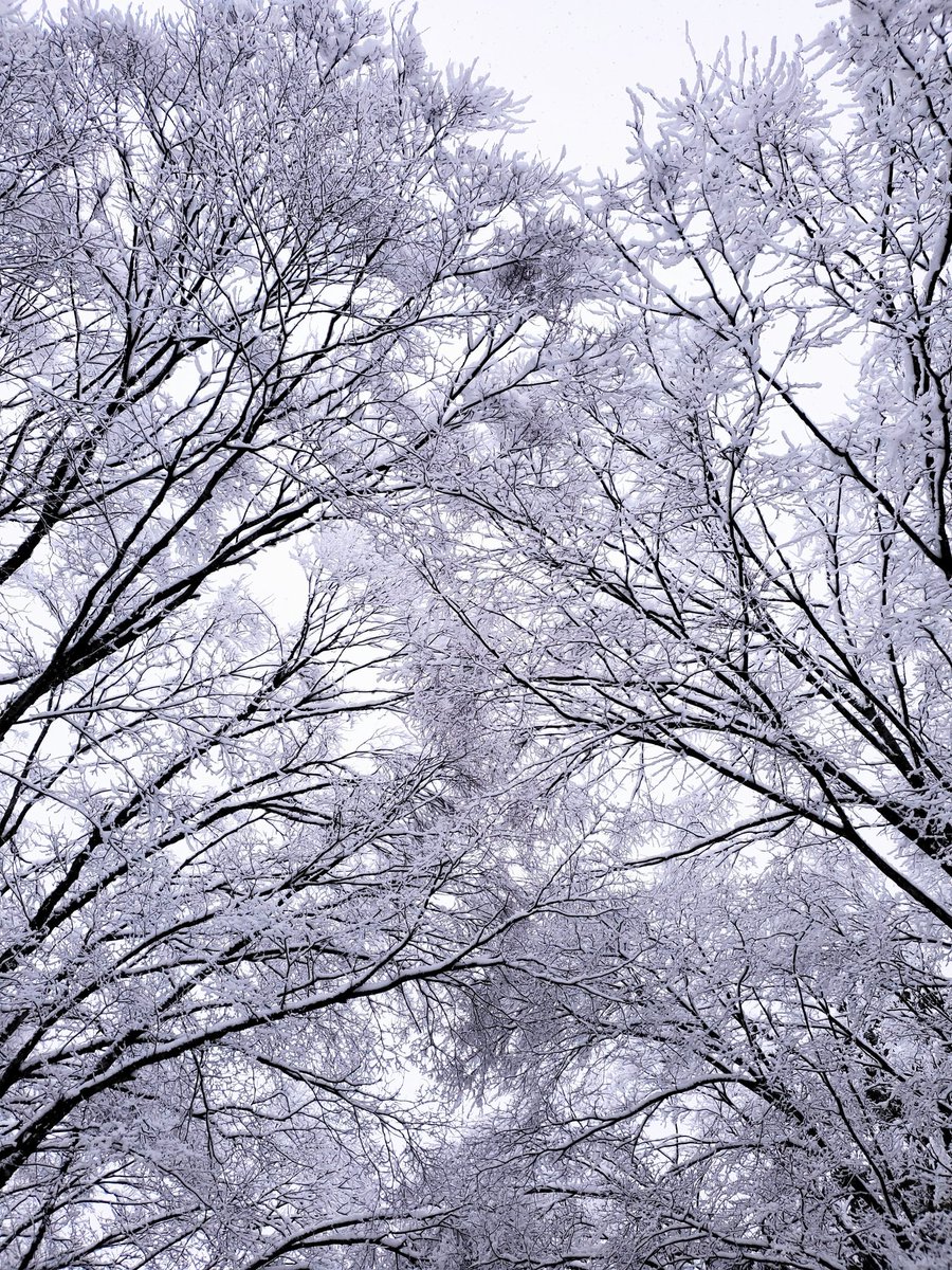 mayu*** (@mayu_r729) / Posts / X