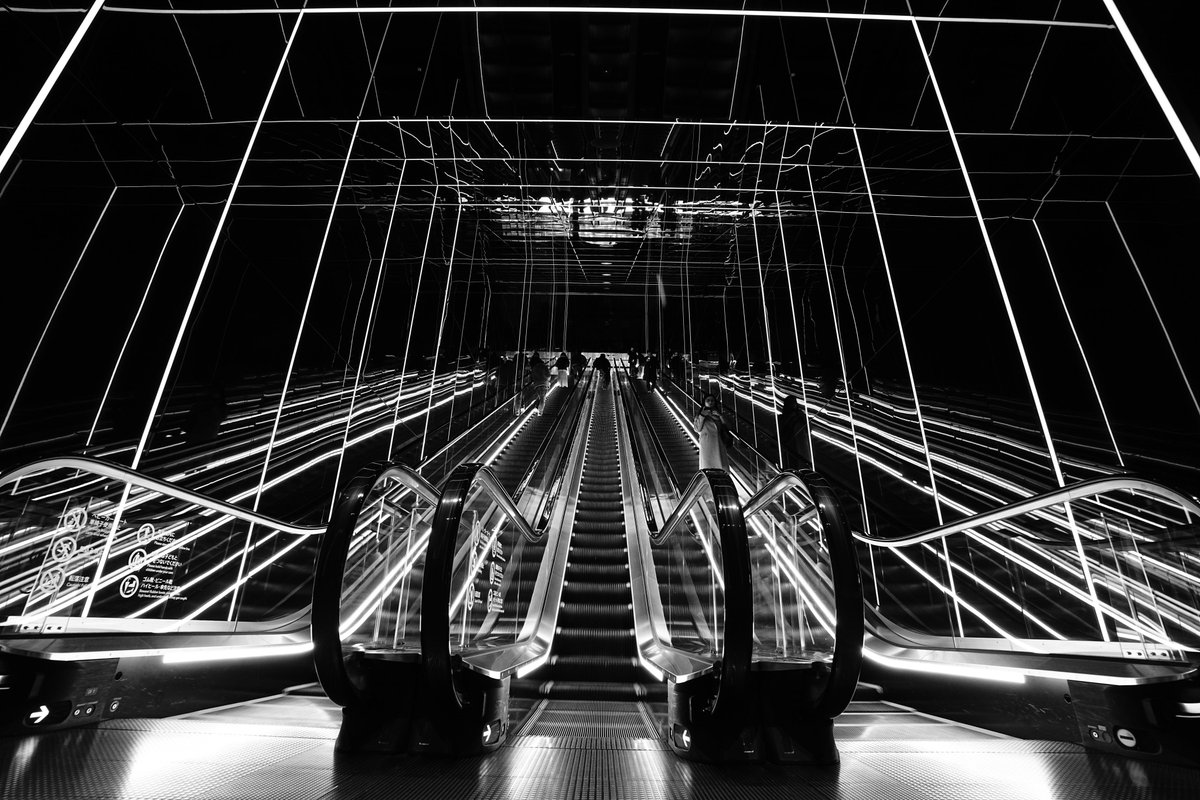 Lain Matsuoka/松岡 玲音 tweet media