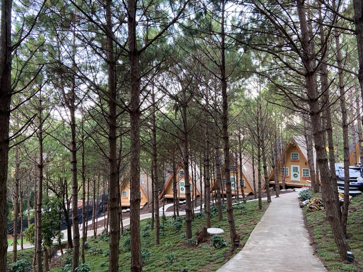 minilalabelle's tweet image. ถ้านี่ไปเขาค้อต้องไปพักที่ วิลล่าป่าสน อำเภอ เขาค้อ จังหวัดเพชรบูรณ์ เหมาะสำหรับคนที่ไม่ชอบนอนเต็นท์ หรือไม่ชอบความวุ่นวายที่นี่เหมาะมากกก แถมมีออนเซ็นส่วนตัวด้วย อากาศดีมากกกกกกกก ที่พักสวยมากกกกกกกก 

@AmazingThailand #AmazingThailand #AmazingThailandxLISA