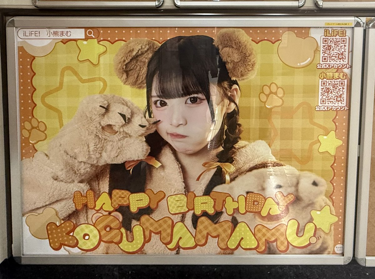 小熊まむセット 小熊まむ