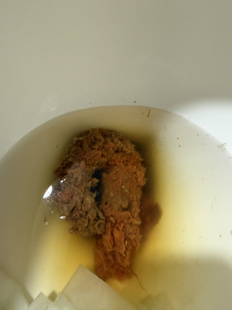 youpootaste's tweet photo. https://t.co/np217vVw6b