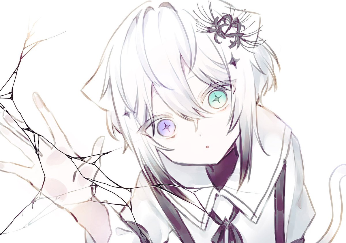 さらに！ tweet media