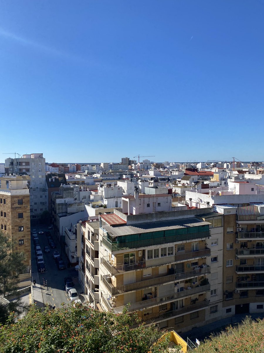 El solecito de la mañana al ir a correr tras abrir los regalitos de reyes me ha convertido en michi 🐱 La cámara de un mal móvil hace magia a veces